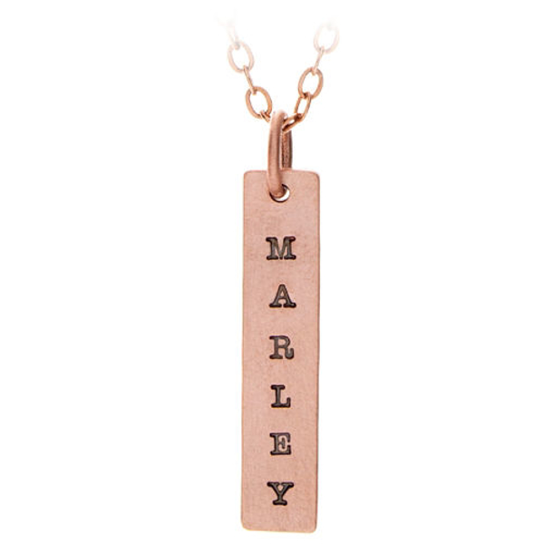 Picture of Vertical Nameplate Pendant Necklace
