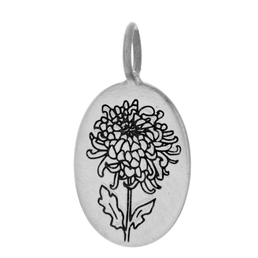 Chrysanthemum Charm