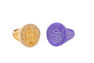 Custom family crest signet ring process wax model and finished 14K gold ring